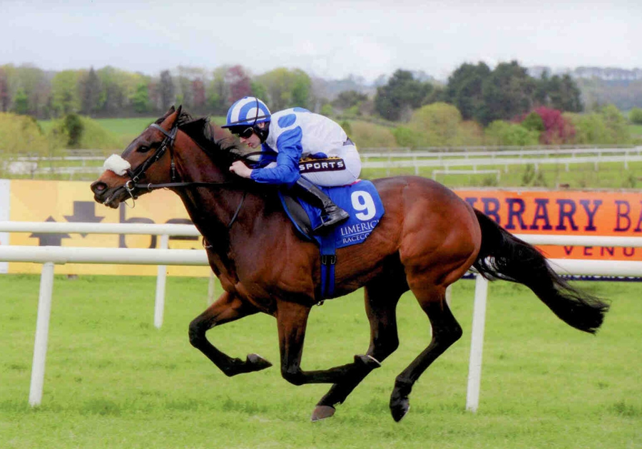 Third Dimension Limerick Sat 26th april